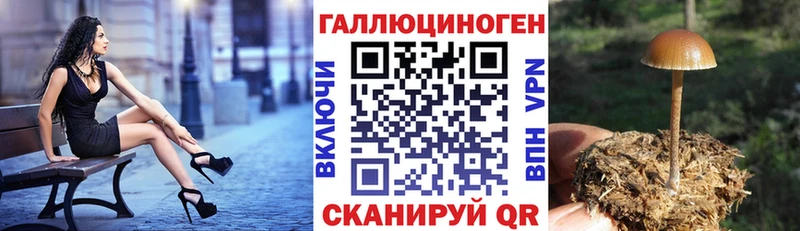 Галлюциногенные грибы мухоморы Нахабино