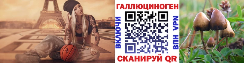 Купить  Нахабино  Псилоцибиновые грибы ЛСД 